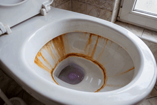 Schleife: In der Toilettenschüssel mit orange-braunen Streifen steigt violetter Schaum aus dem Wasser auf, breitet sich über die Wasserfläche aus und wächst an der Innenwand nach oben.
